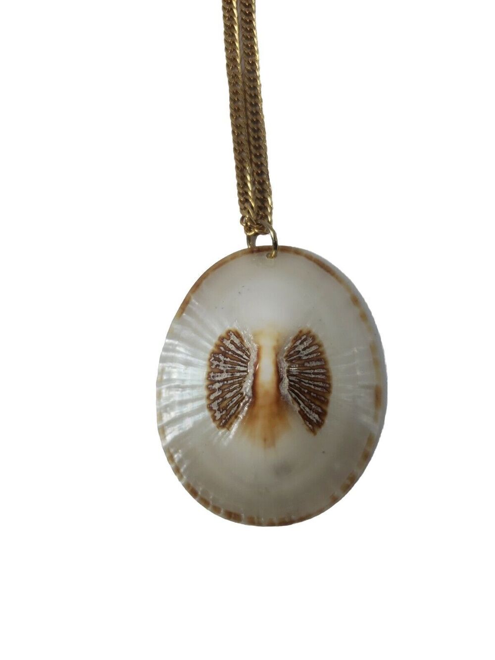 Seashell Shell Natural Coned Necklace Vintage 1970s Beautiful Pendant Collect